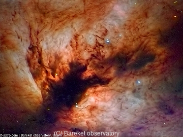 nebulae/flame_nebula_1419823368.jpg