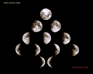 lunar phases mosaic