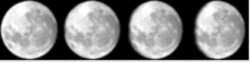 lunar phases3